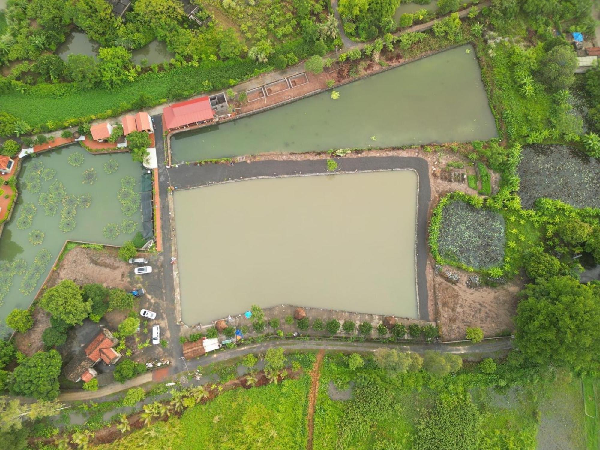 Tam Coc Cat Luong Homestay นิญบิ่ญ ภายนอก รูปภาพ